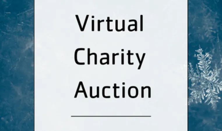 auction 